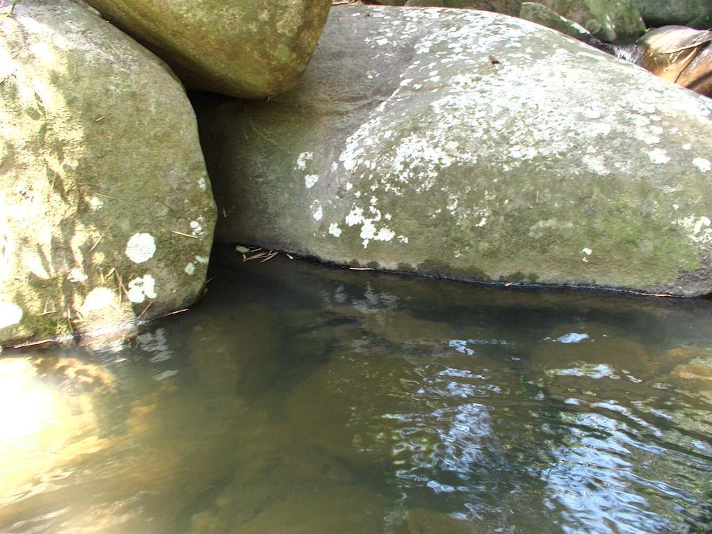 Ytororo O Som Das Aguas Araquari Exterior foto