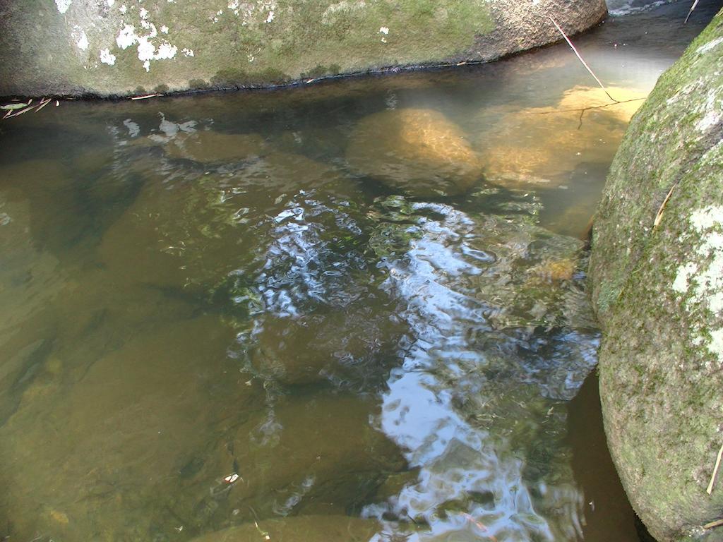 Ytororo O Som Das Aguas Araquari Exterior foto